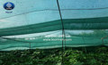 Shade net for plants and floriculture farm