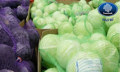 Cabbage packing and storage