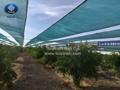 A general guide for using shade net in gardens A general guide for using shade net in gardens