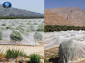 5 Key Benefits of Shade Netting for Plants and Trees in cold seasons 5 Key Benefits of Shade Netting for Plants and Trees in cold seasons