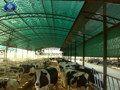 How does installing livestock shade net increase livestock productivity How does installing livestock shade net increase livestock productivity