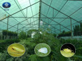 How Shade Nets Help Reduce Pest Damage in Farms and Cultivation Areas How Shade Nets Help Reduce Pest Damage in Farms and Cultivation Areas