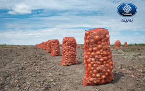 Picture No 2 Picture No 2