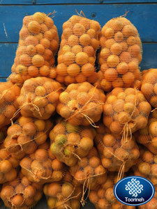 Picture No 1 Picture No 1