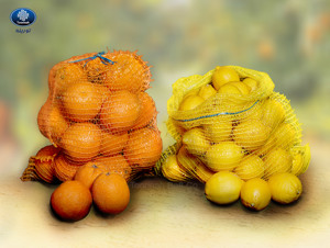 Picture No 6 Picture No 6