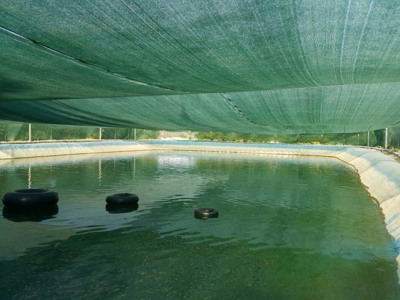Fish farm shade cloth