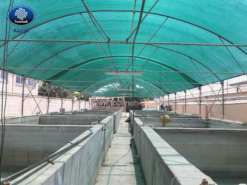 5 Significant advantages of shade net for installing on the fish breeding pond